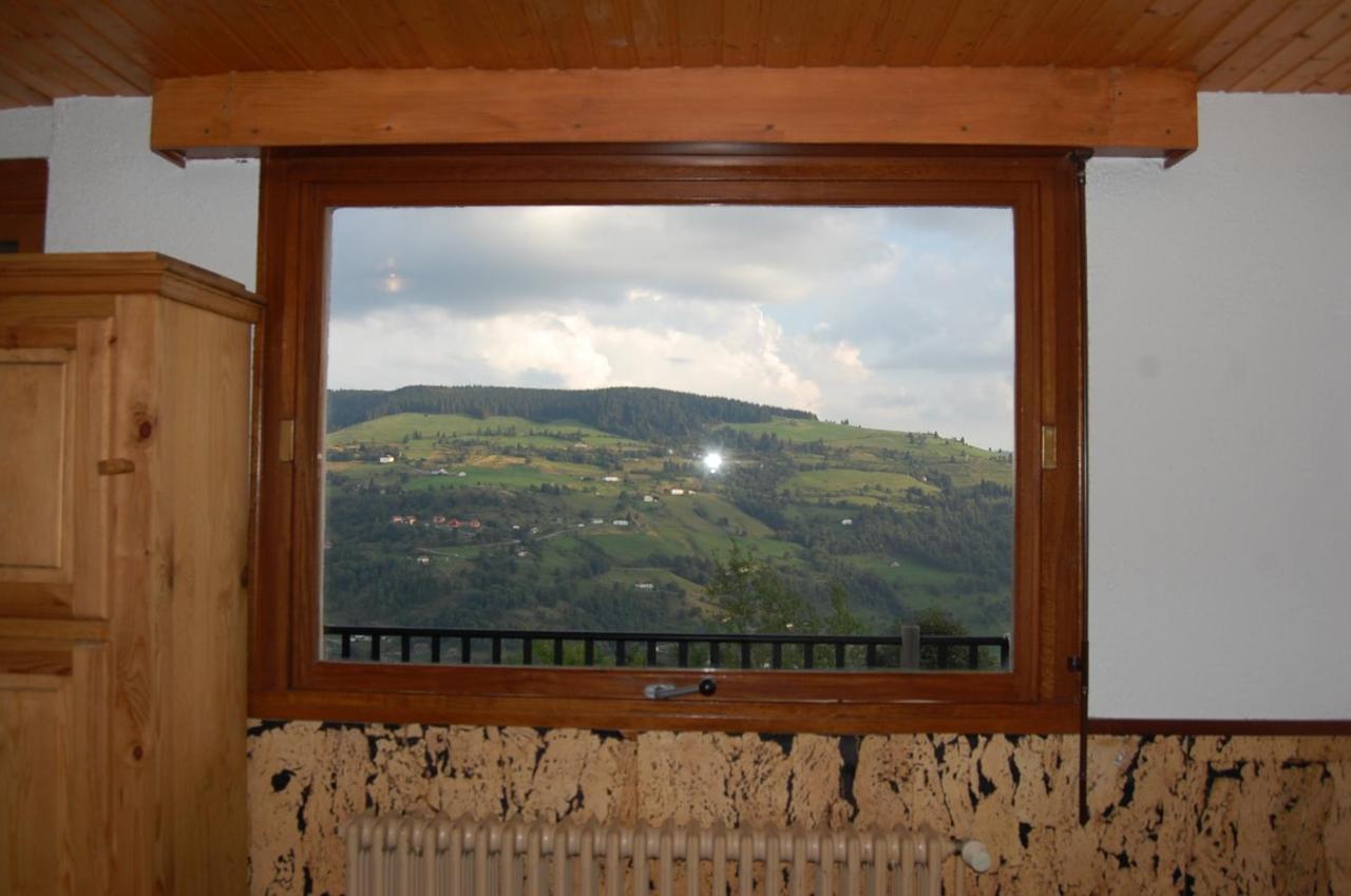 Studio Le Panorama La Bresse Exterior foto